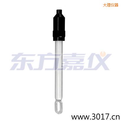 大理玻璃外殼無溫補(bǔ)兩線電導(dǎo)率電極